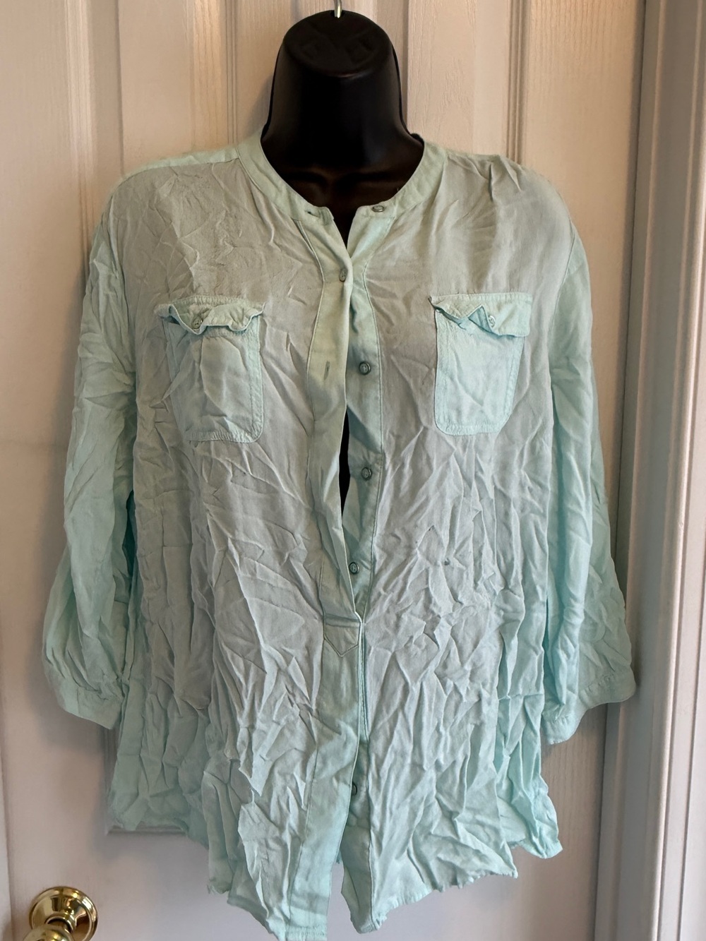 Bit & Bridle Light Teal Button-Front Blouse